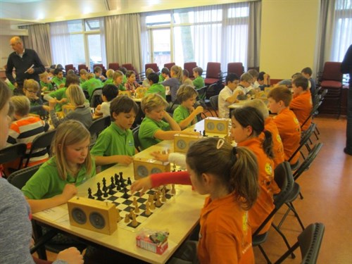 bonte verzameling