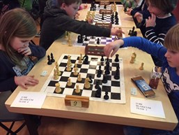 Concentratie 1 